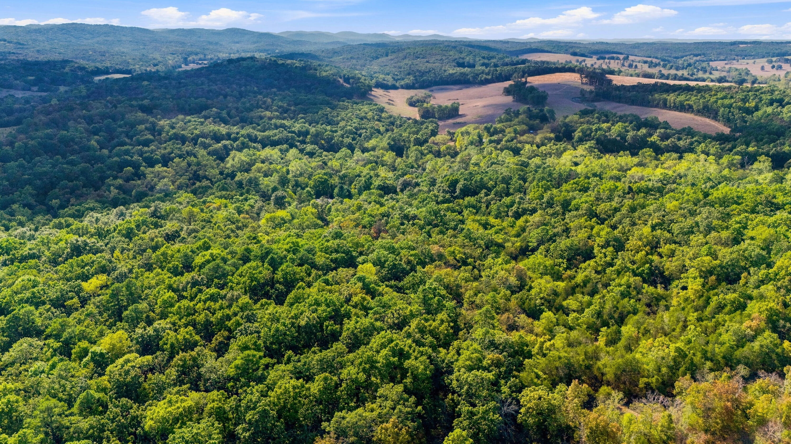 114 Zuluster Lane Property Photo 72