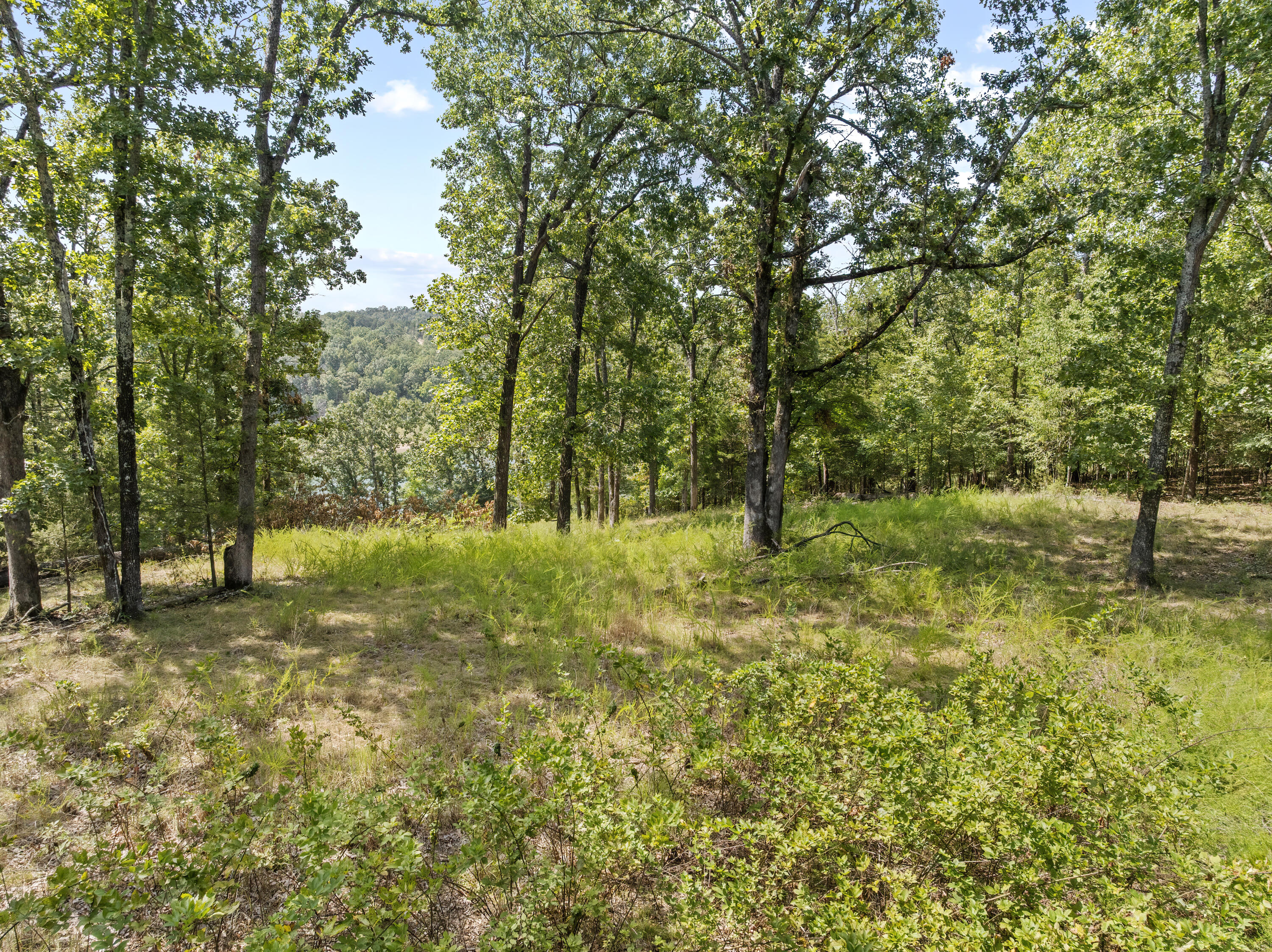 000 South Glade Point Drive Property Photo 12
