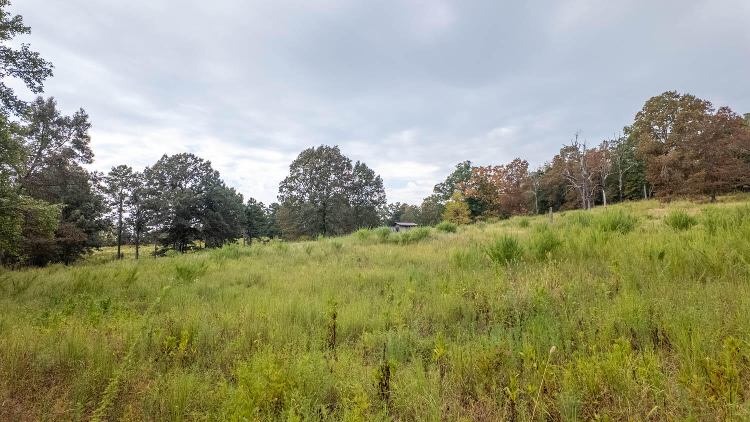 517 Sawmill Road Property Photo 4