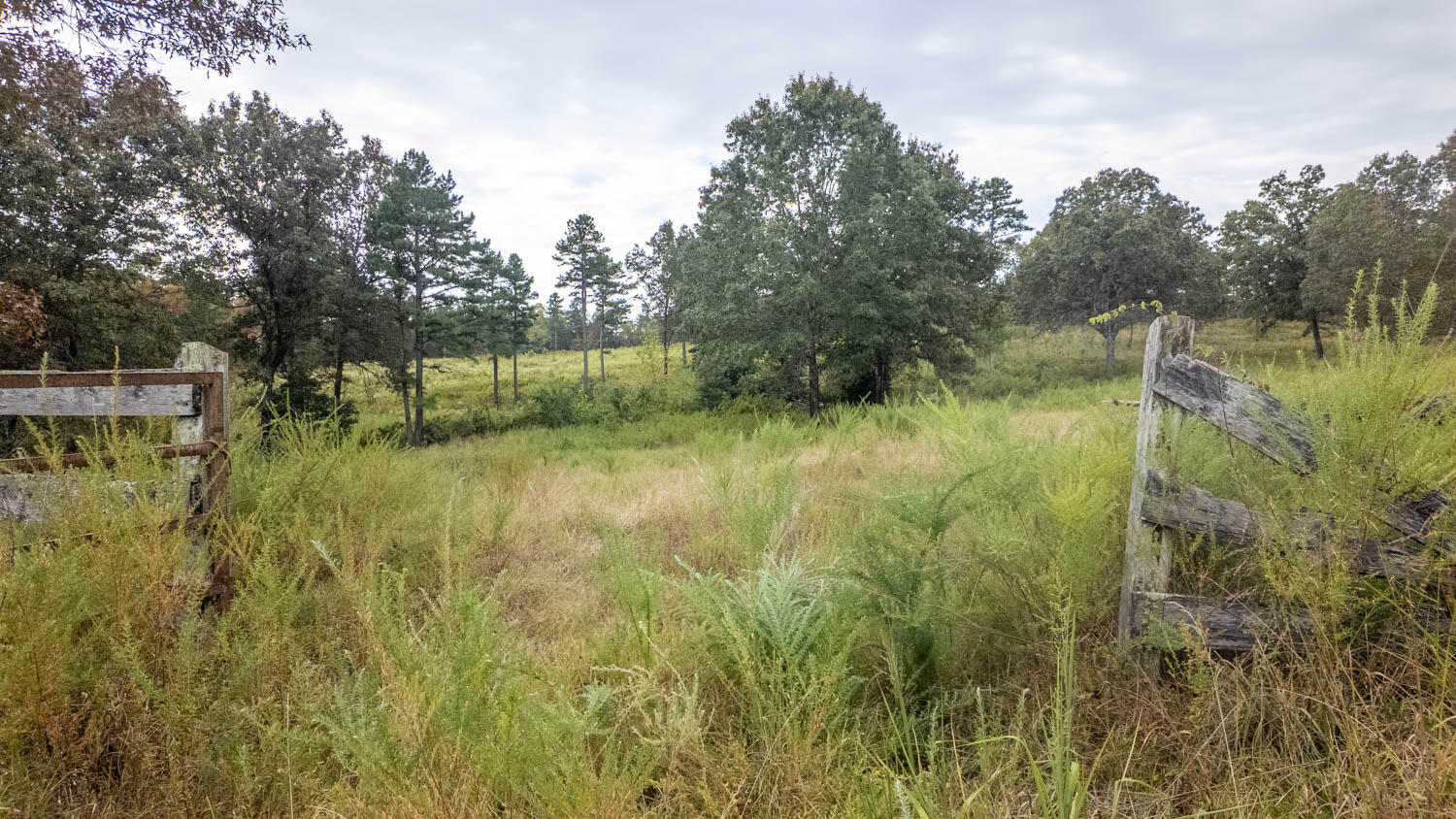 517 Sawmill Road Property Photo 9