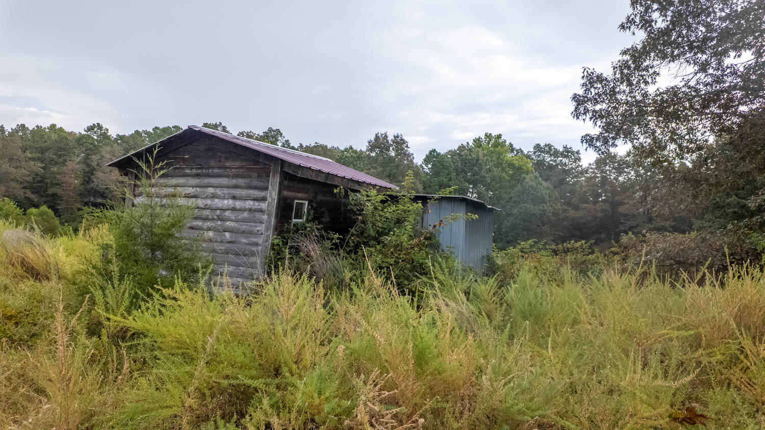 517 Sawmill Road Property Photo 10