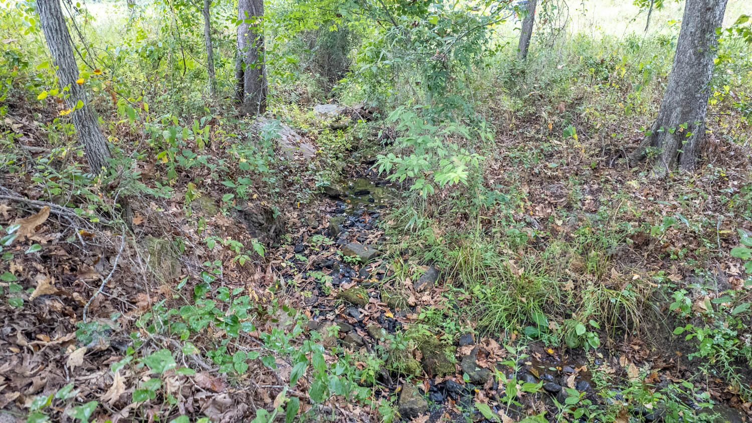 517 Sawmill Road Property Photo 14