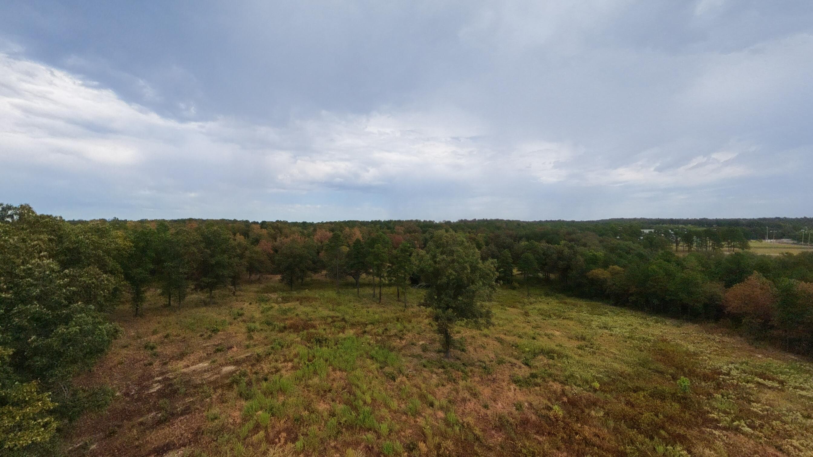 517 Sawmill Road Property Photo 16