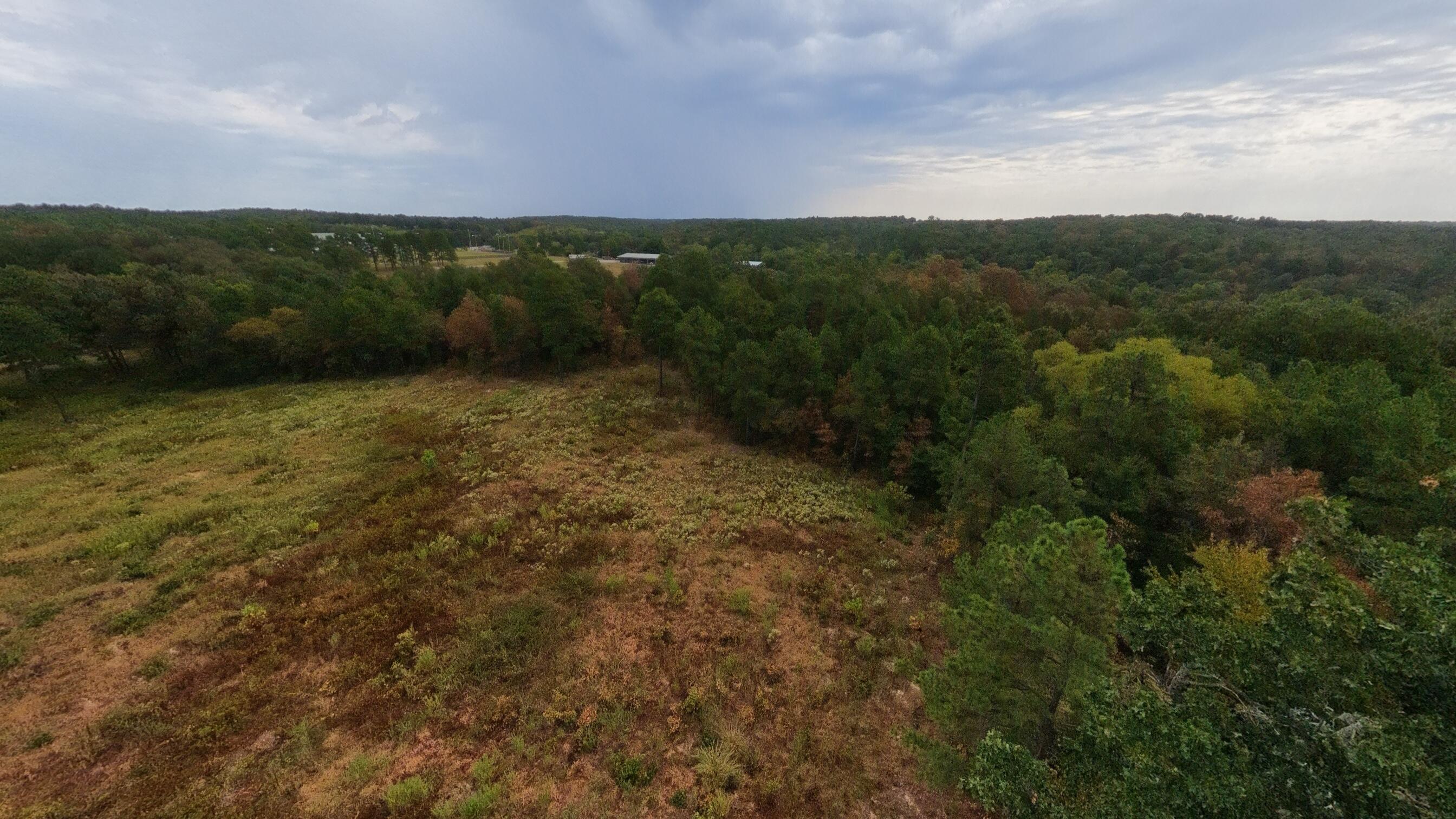 517 Sawmill Road Property Photo 17