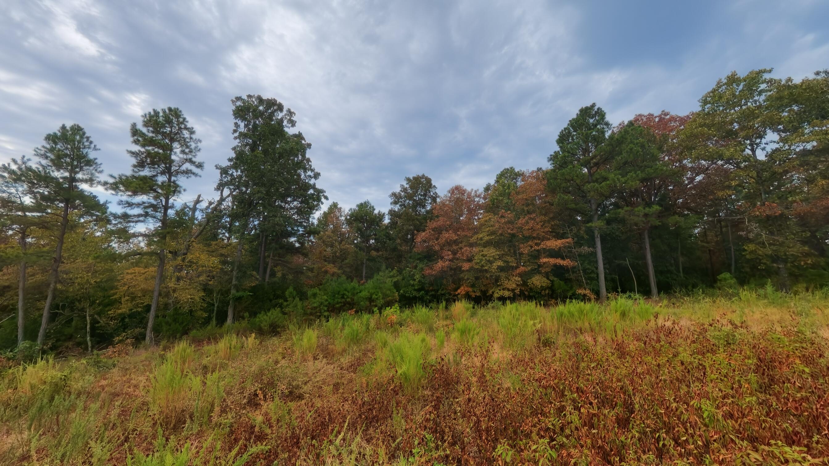 517 Sawmill Road Property Photo 21
