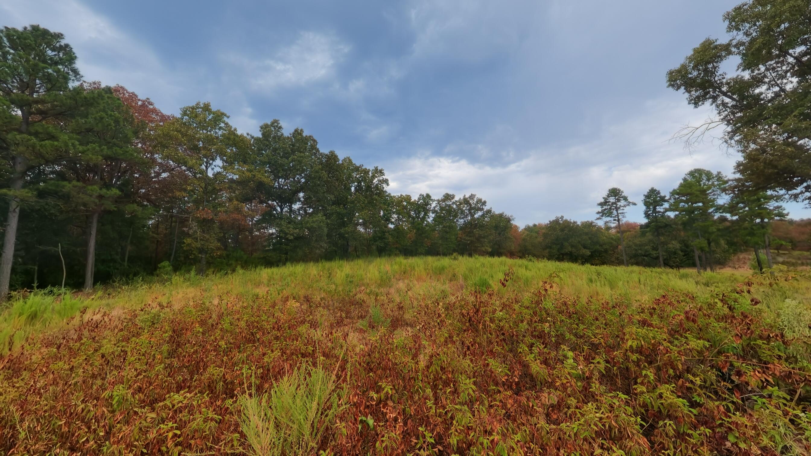 517 Sawmill Road Property Photo 22