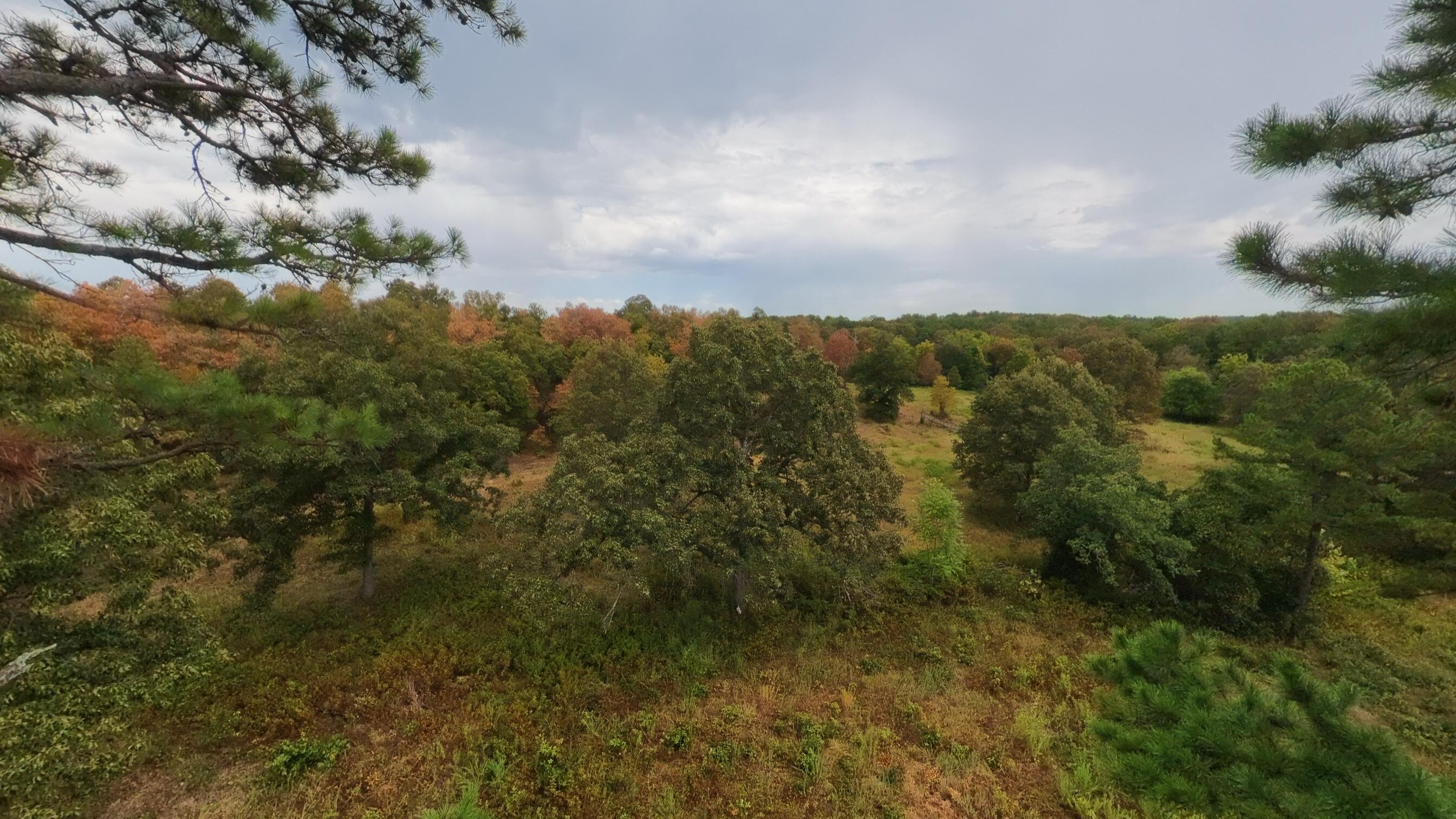 517 Sawmill Road Property Photo 23