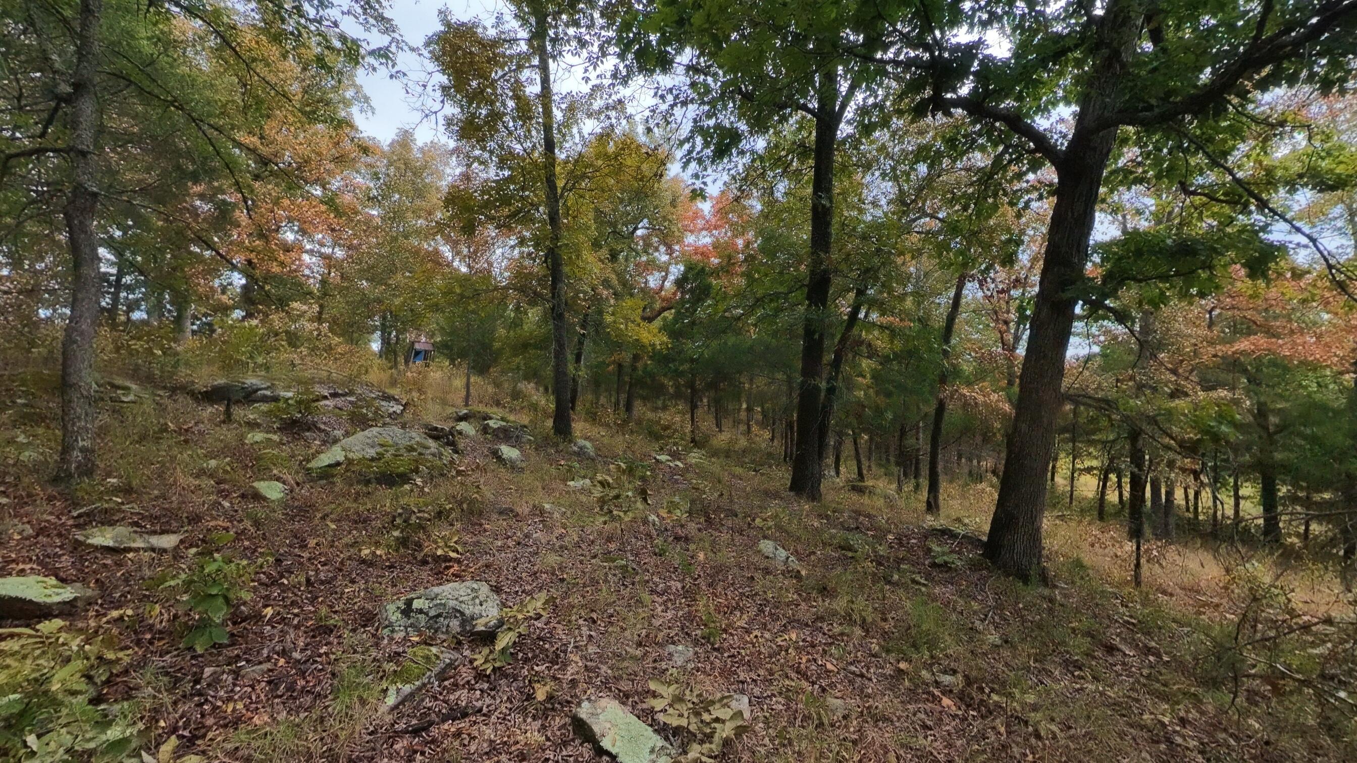 517 Sawmill Road Property Photo 28