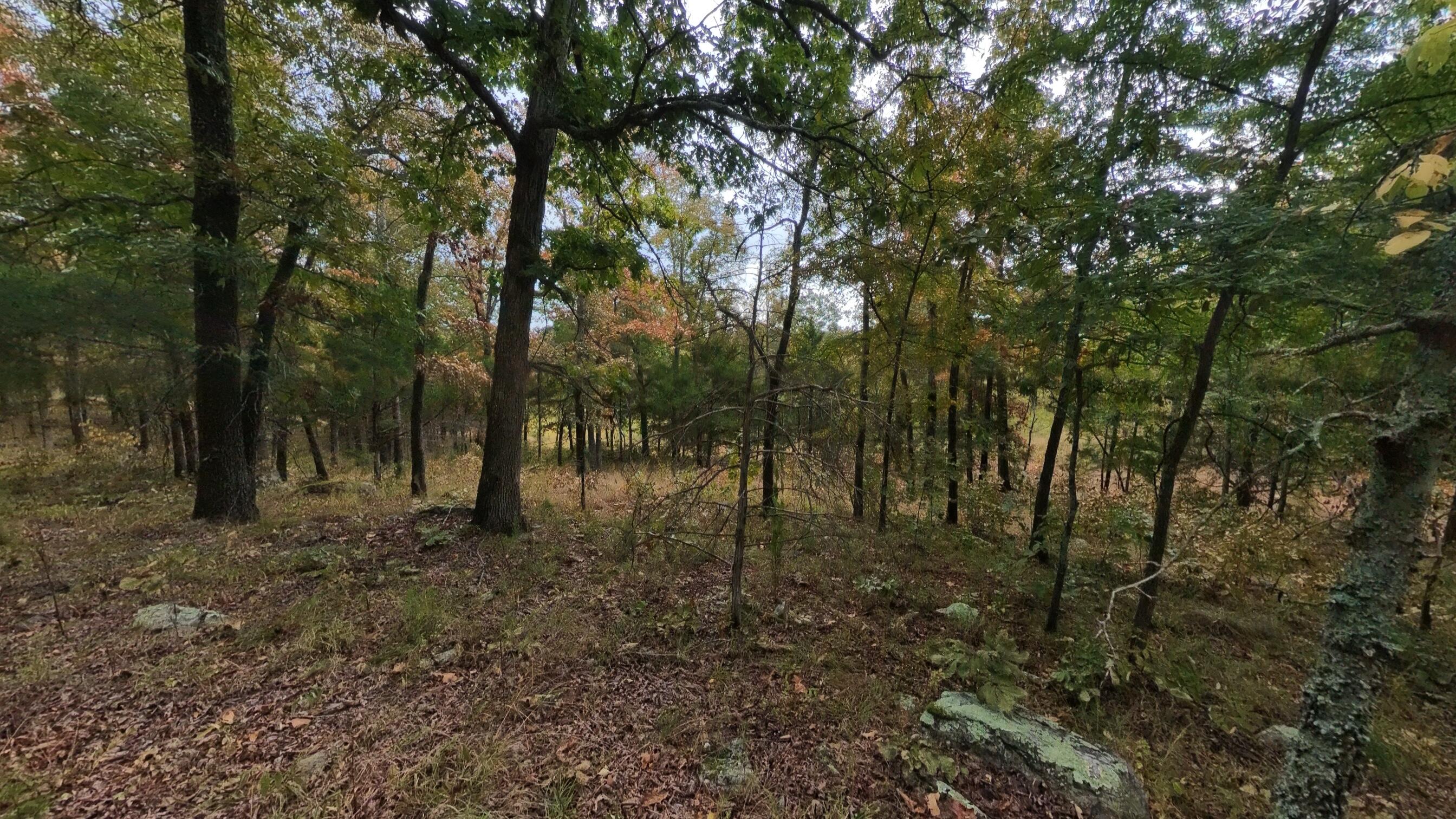 517 Sawmill Road Property Photo 29