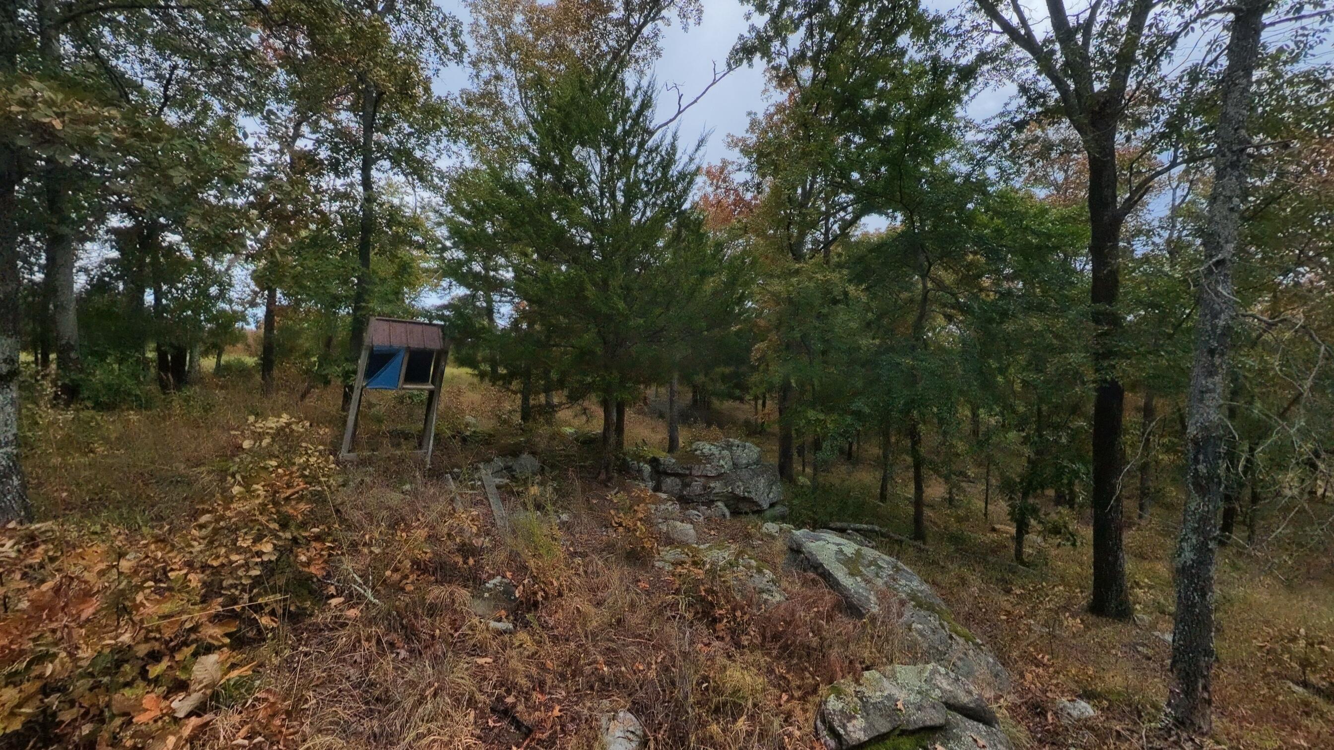 517 Sawmill Road Property Photo 31