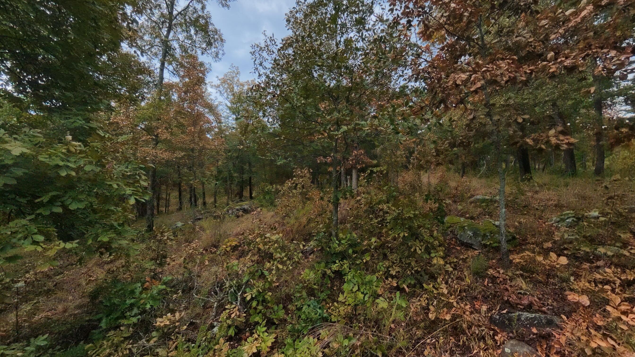 517 Sawmill Road Property Photo 34