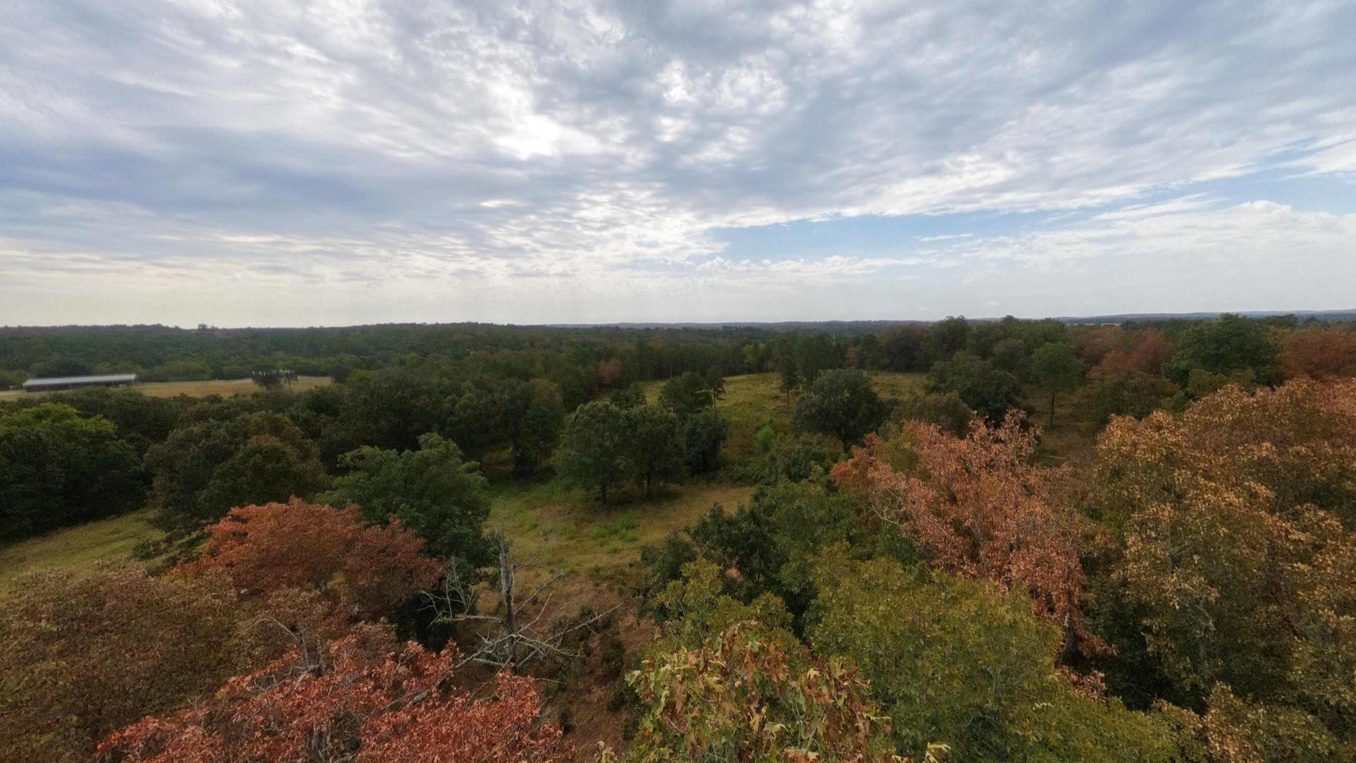 517 Sawmill Road Property Photo 36
