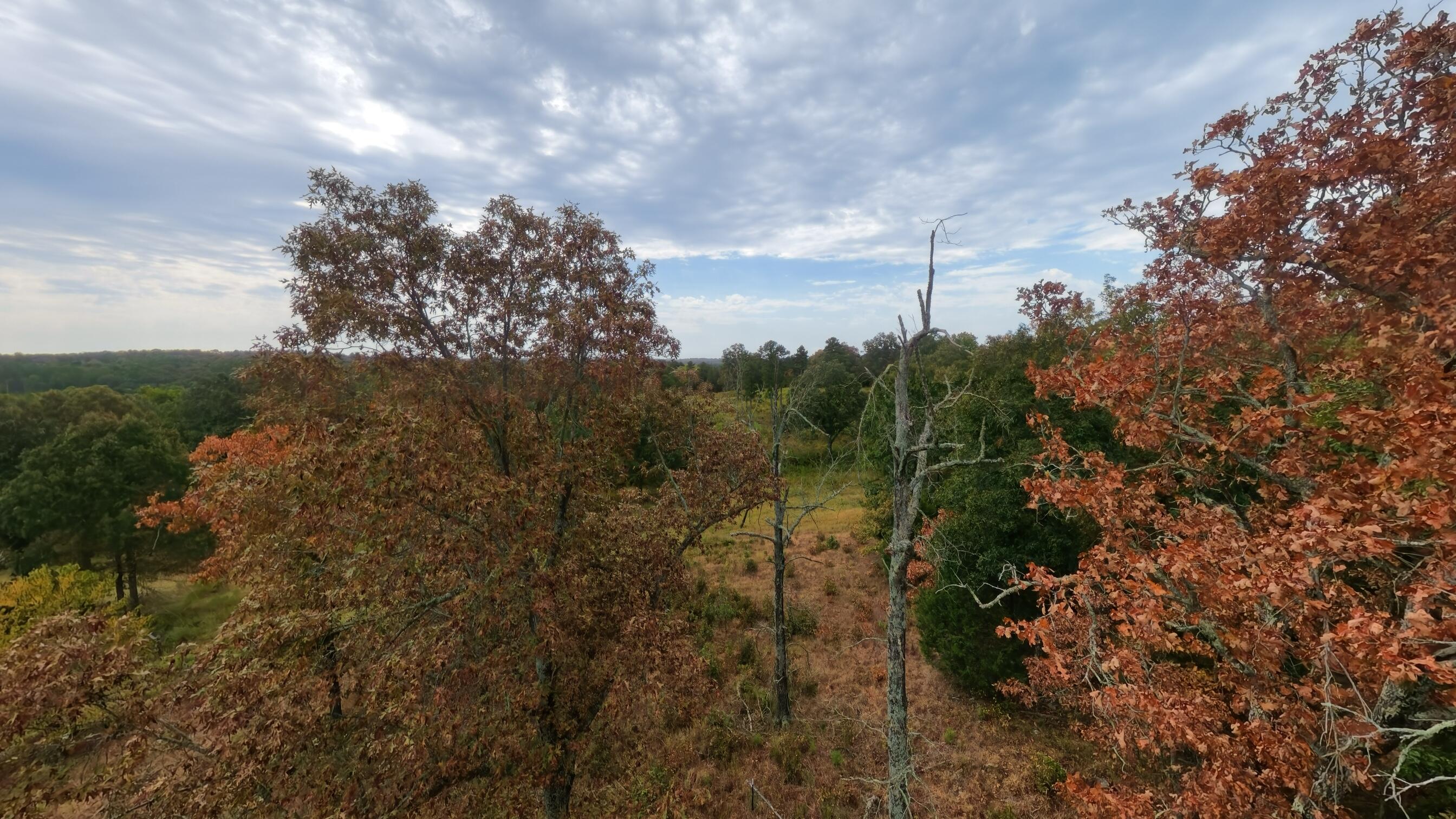 517 Sawmill Road Property Photo 39