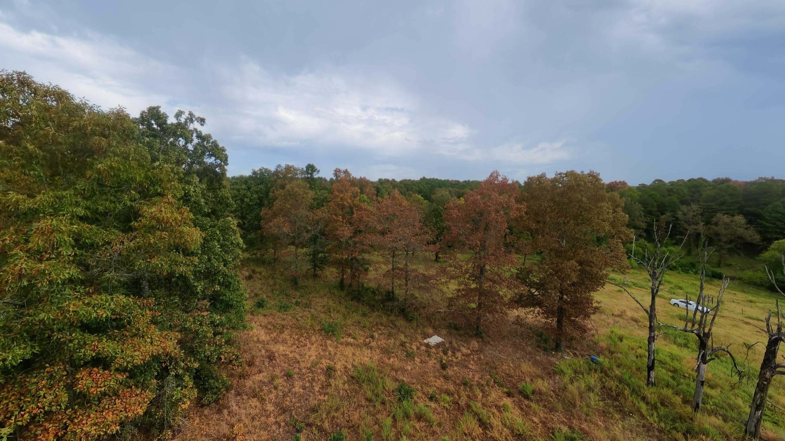 517 Sawmill Road Property Photo 40