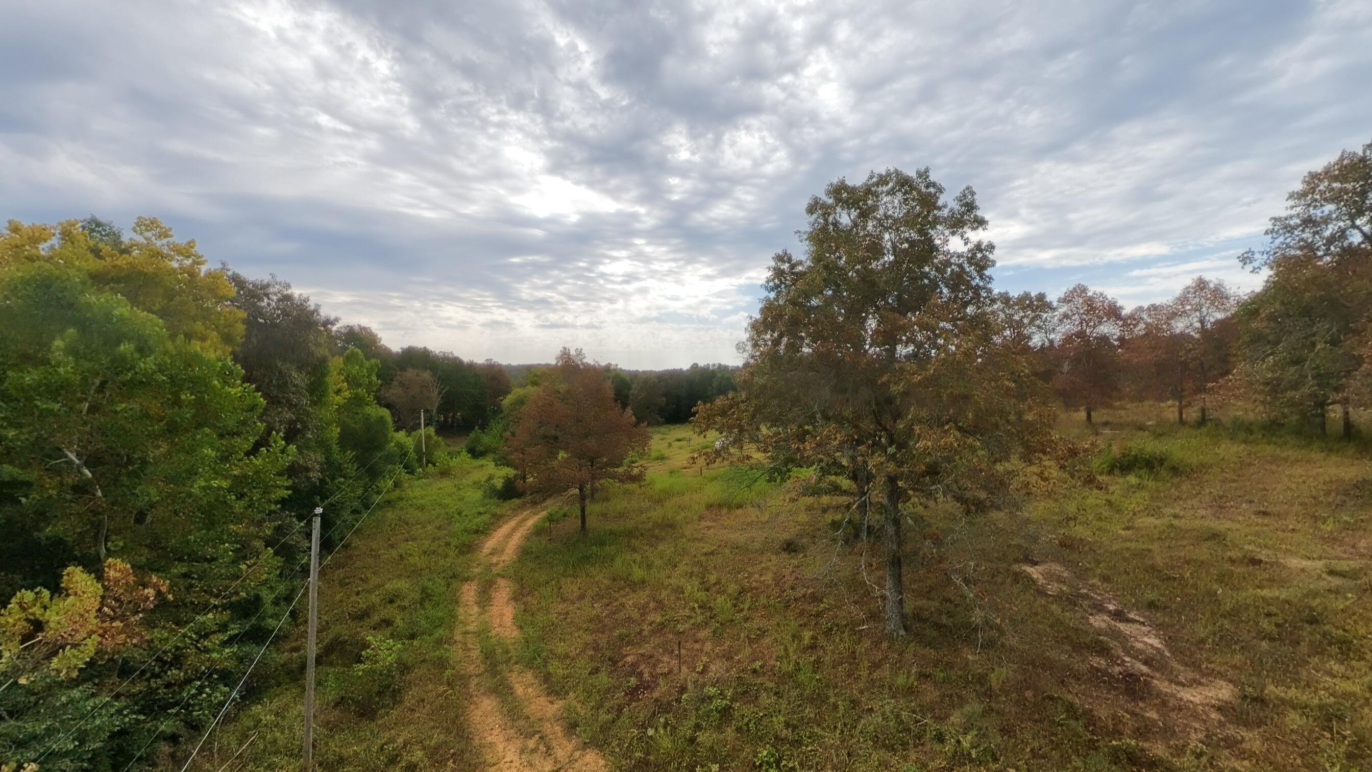 517 Sawmill Road Property Photo 44