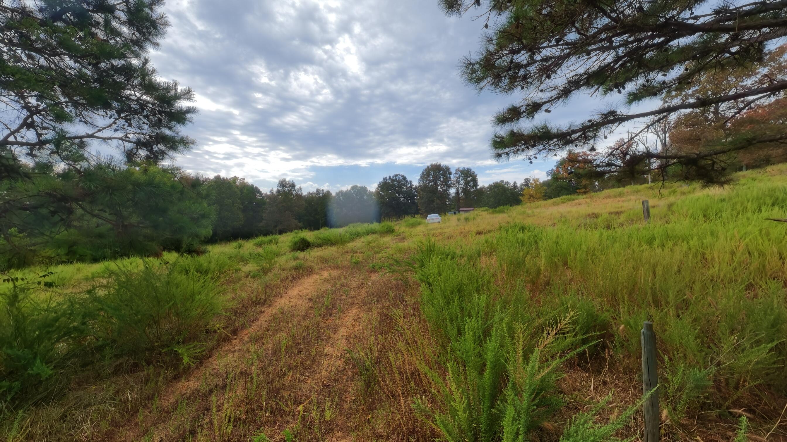 517 Sawmill Road Property Photo 46