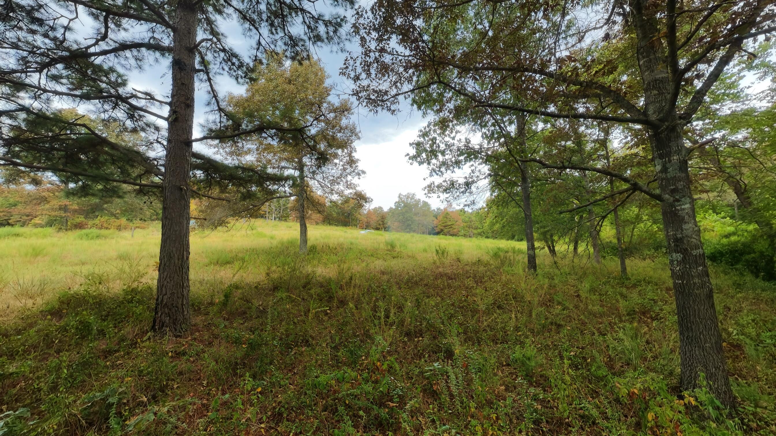 517 Sawmill Road Property Photo 50