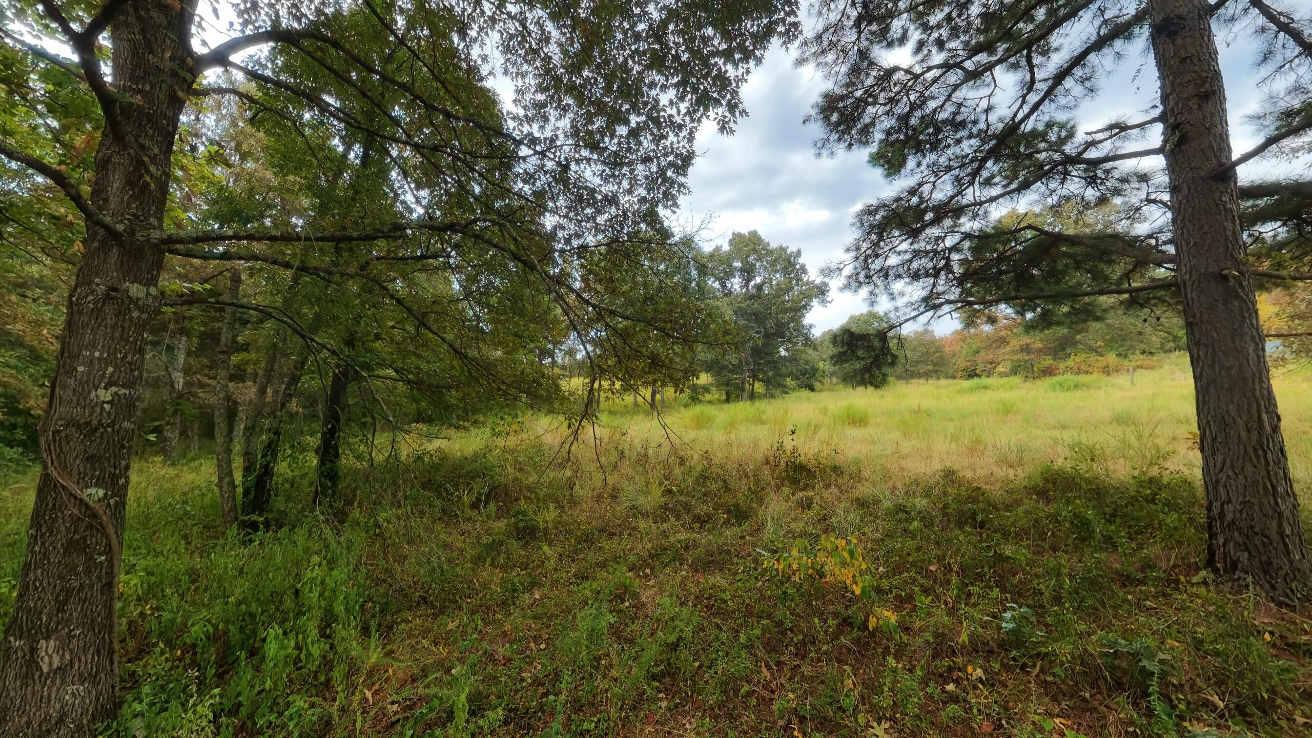 517 Sawmill Road Property Photo 51