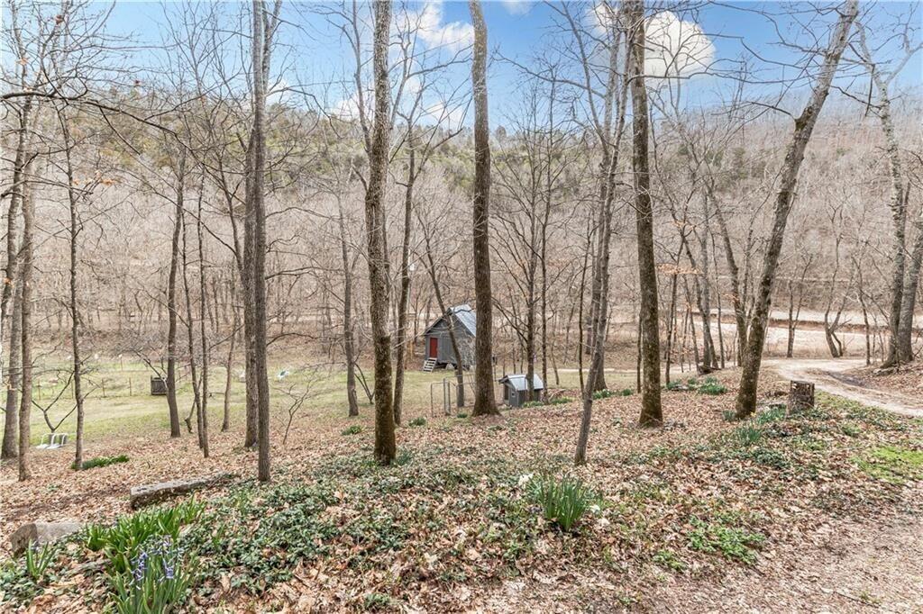 11346 Farm Road 2285 Property Photo 39