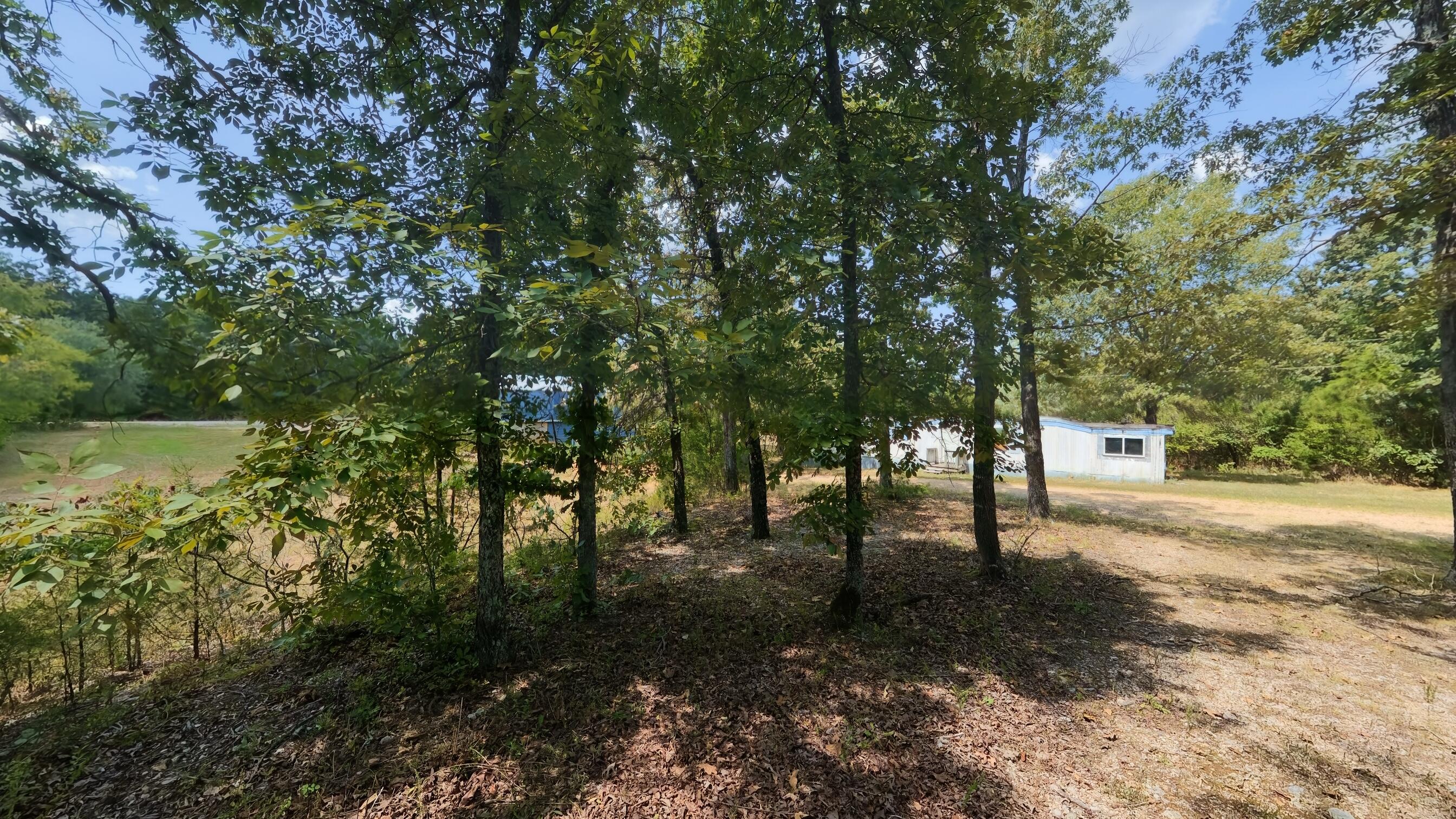 14524 Missouri 17 Property Photo 33