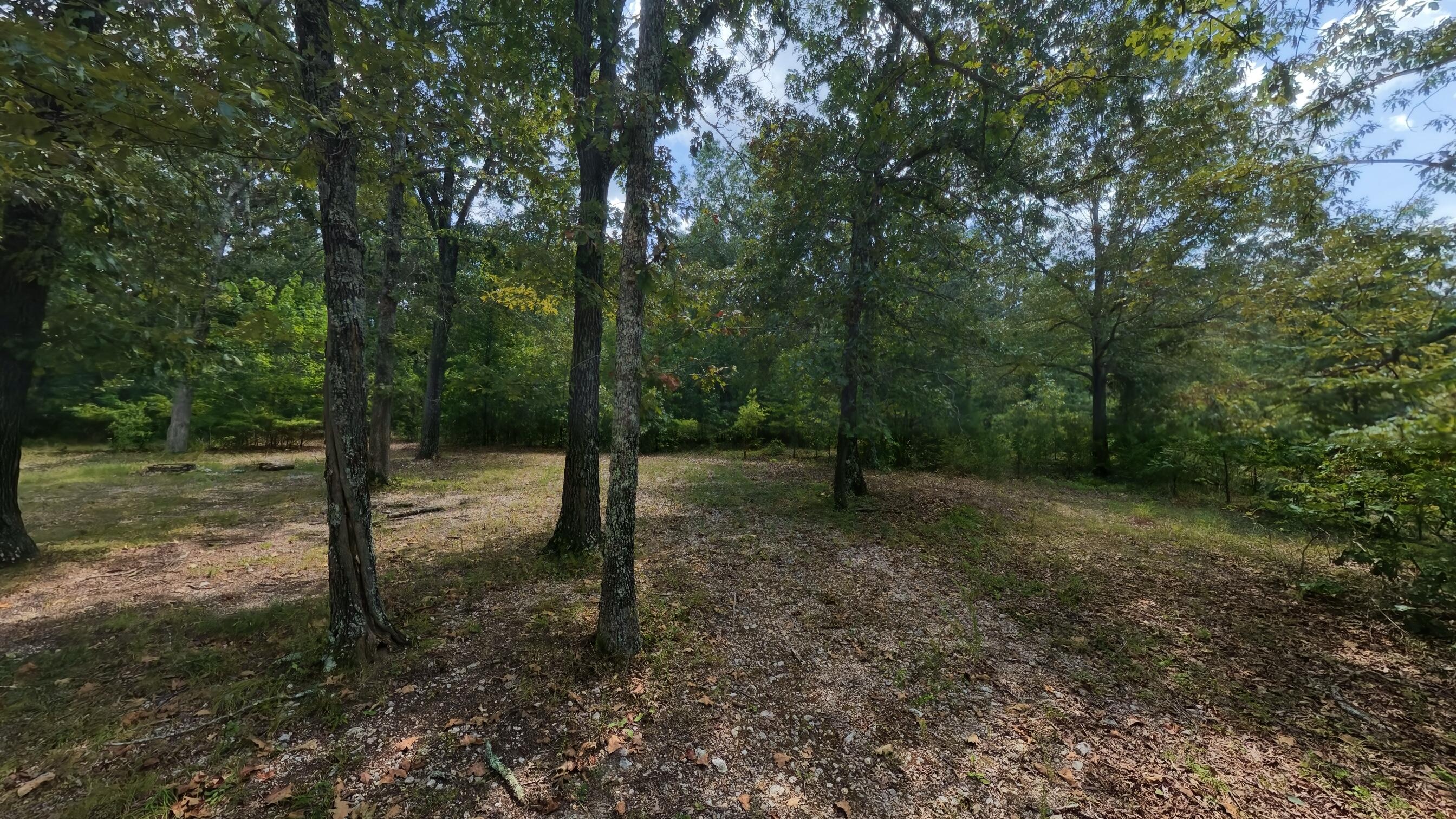 14524 Missouri 17 Property Photo 35