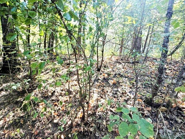 18886 Sugar Creek Road Property Photo 2