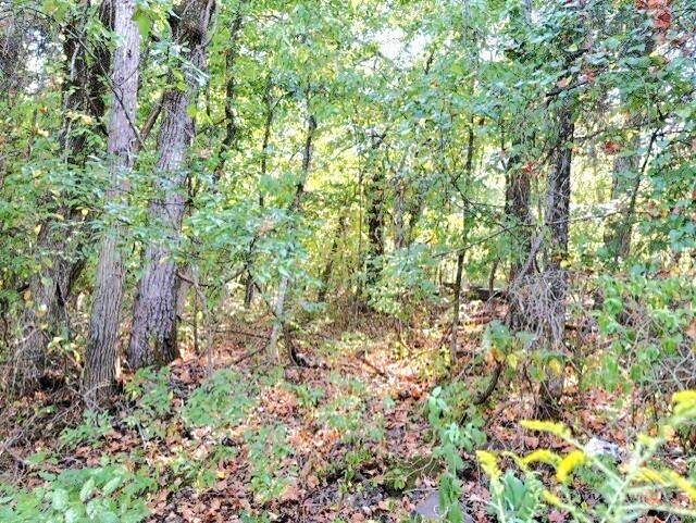 18886 Sugar Creek Road Property Photo 4
