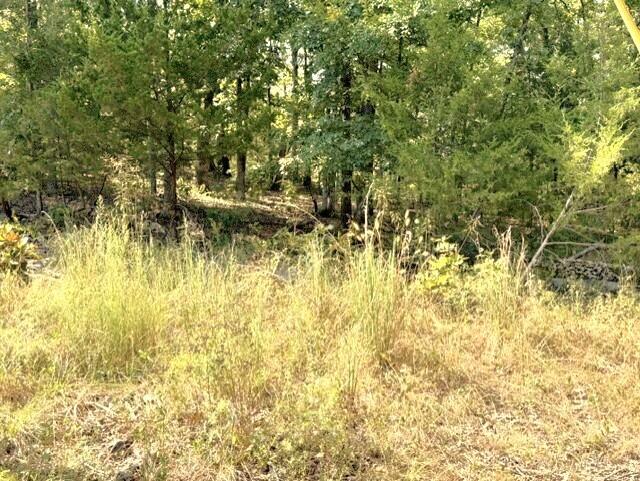18886 Sugar Creek Road Property Photo 6