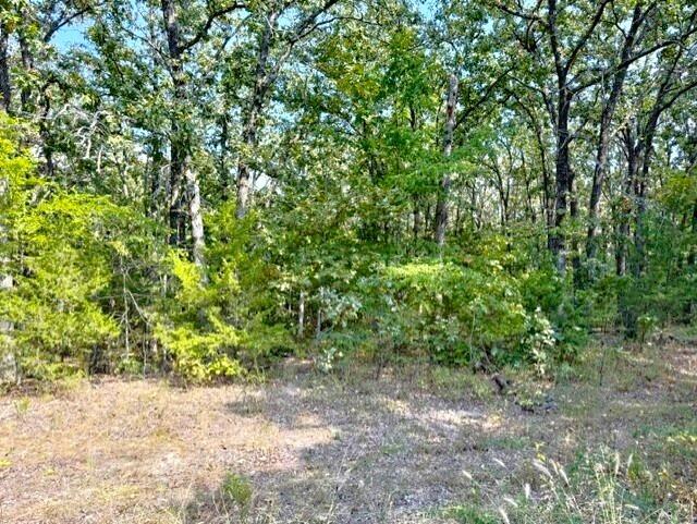 18886 Sugar Creek Road Property Photo 7
