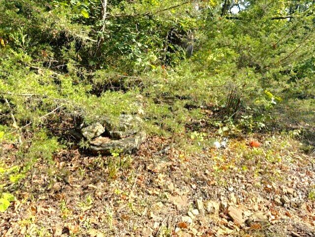 18886 Sugar Creek Road Property Photo 9