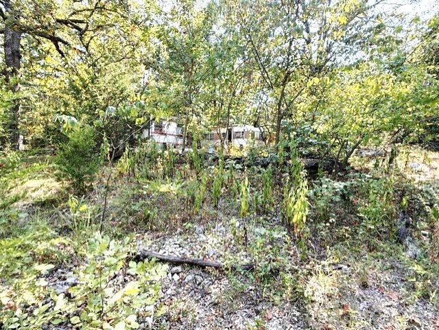 18886 Sugar Creek Road Property Photo 11