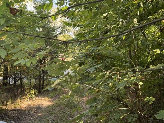 18886 Sugar Creek Road Property Photo 12