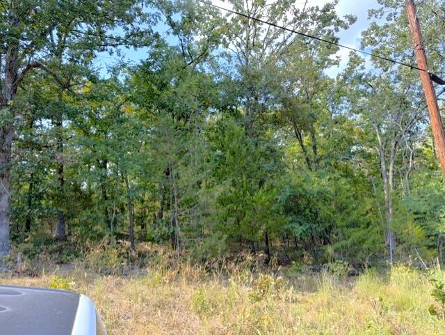 18886 Sugar Creek Road Property Photo 13