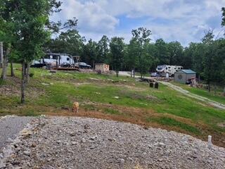 3425 Pine Top Road Property Photo 34