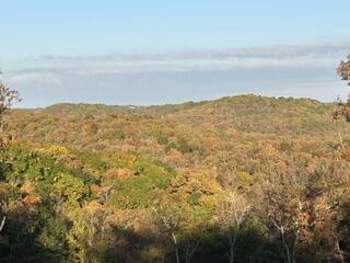3425 Pine Top Road Property Photo 41