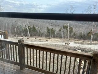 3425 Pine Top Road Property Photo 43