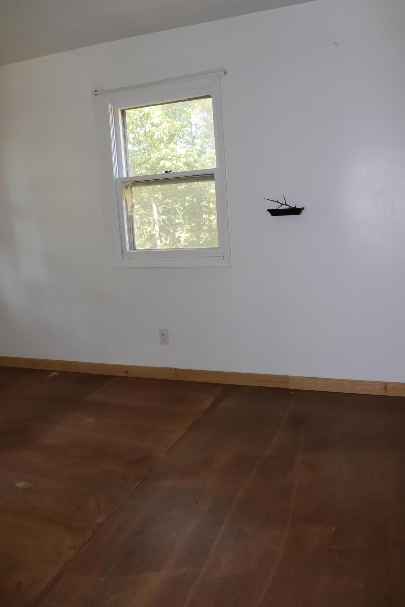 1255 Saddle Club Road Property Photo 26