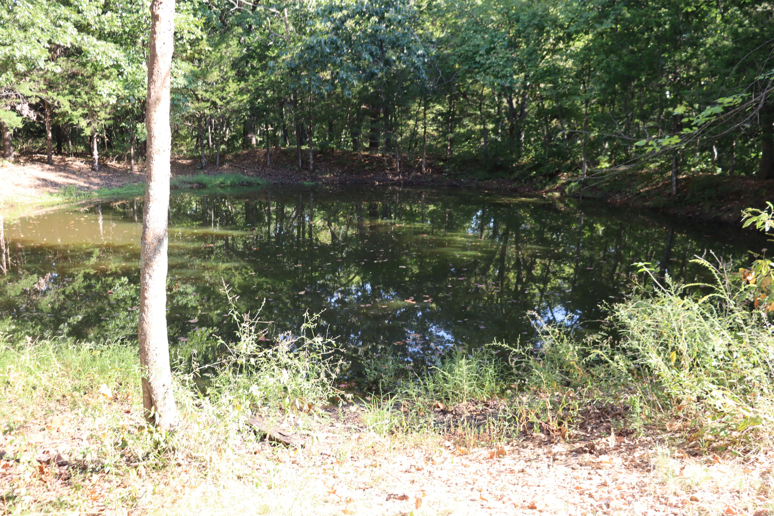 1255 Saddle Club Road Property Photo 35