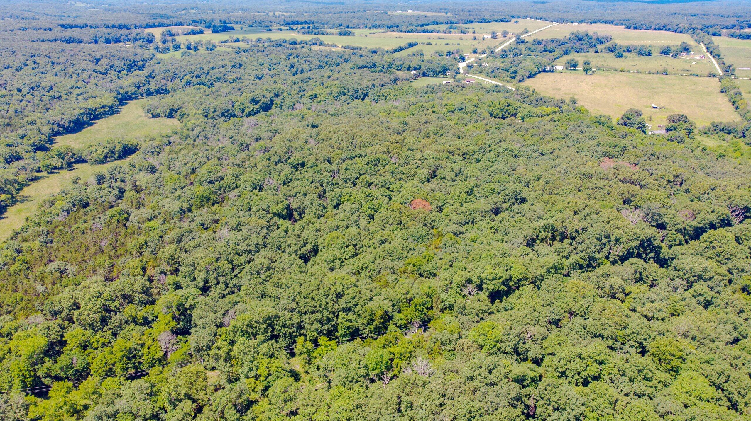000 Mo-82 Property Photo 14