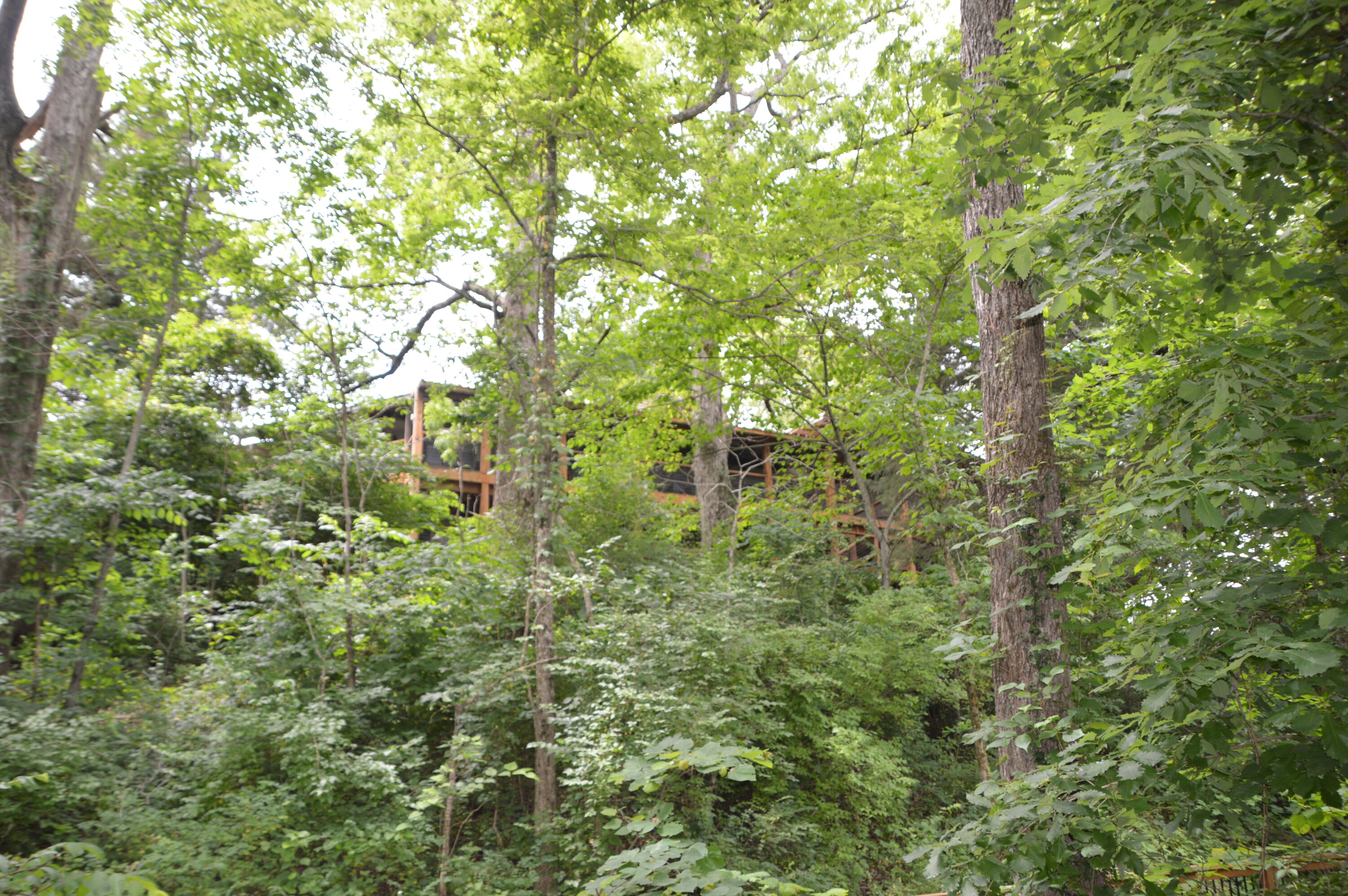 381 West Guin Road Property Photo 71