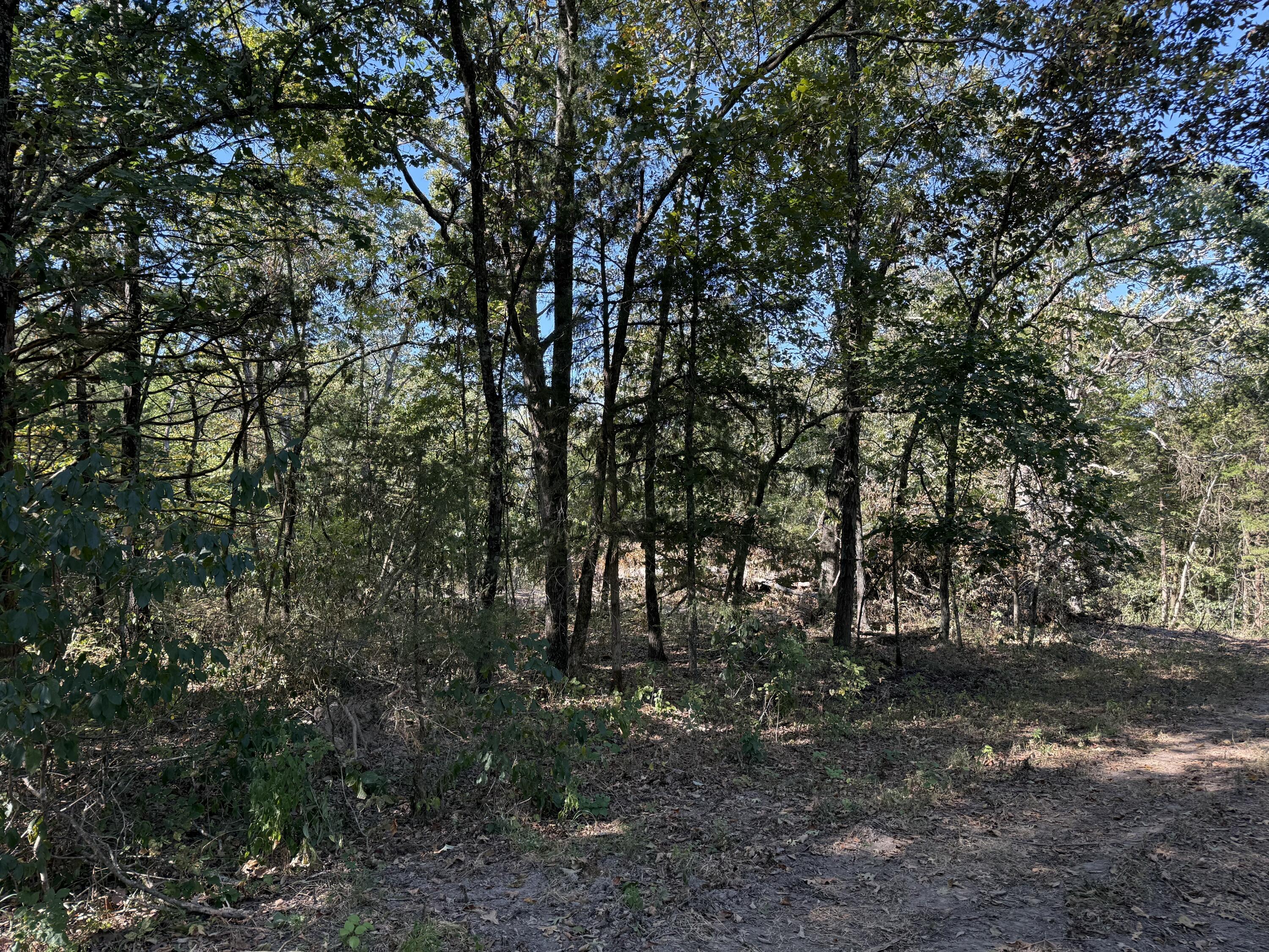 000 203 Property Photo 2