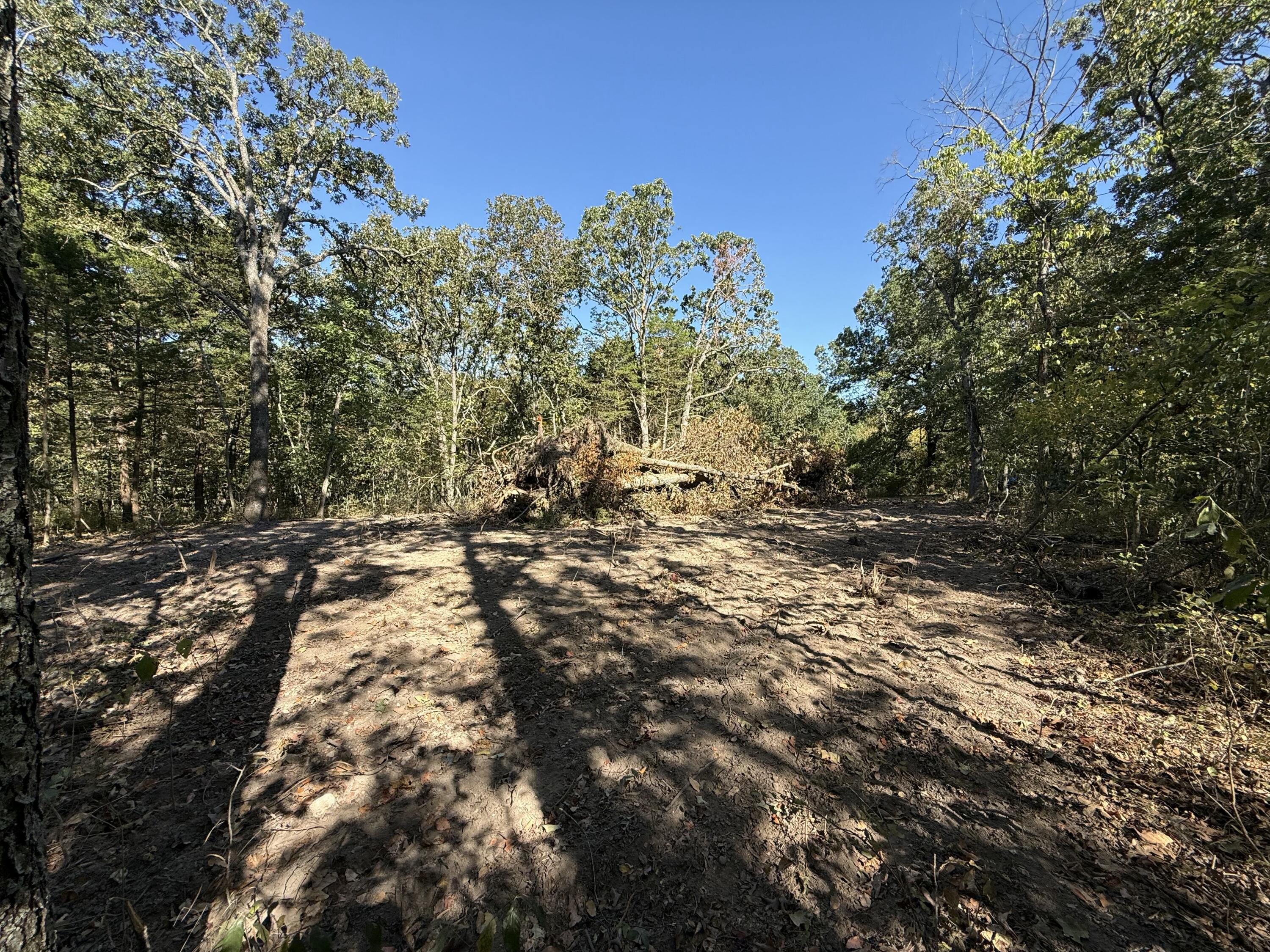 000 203 Property Photo 3