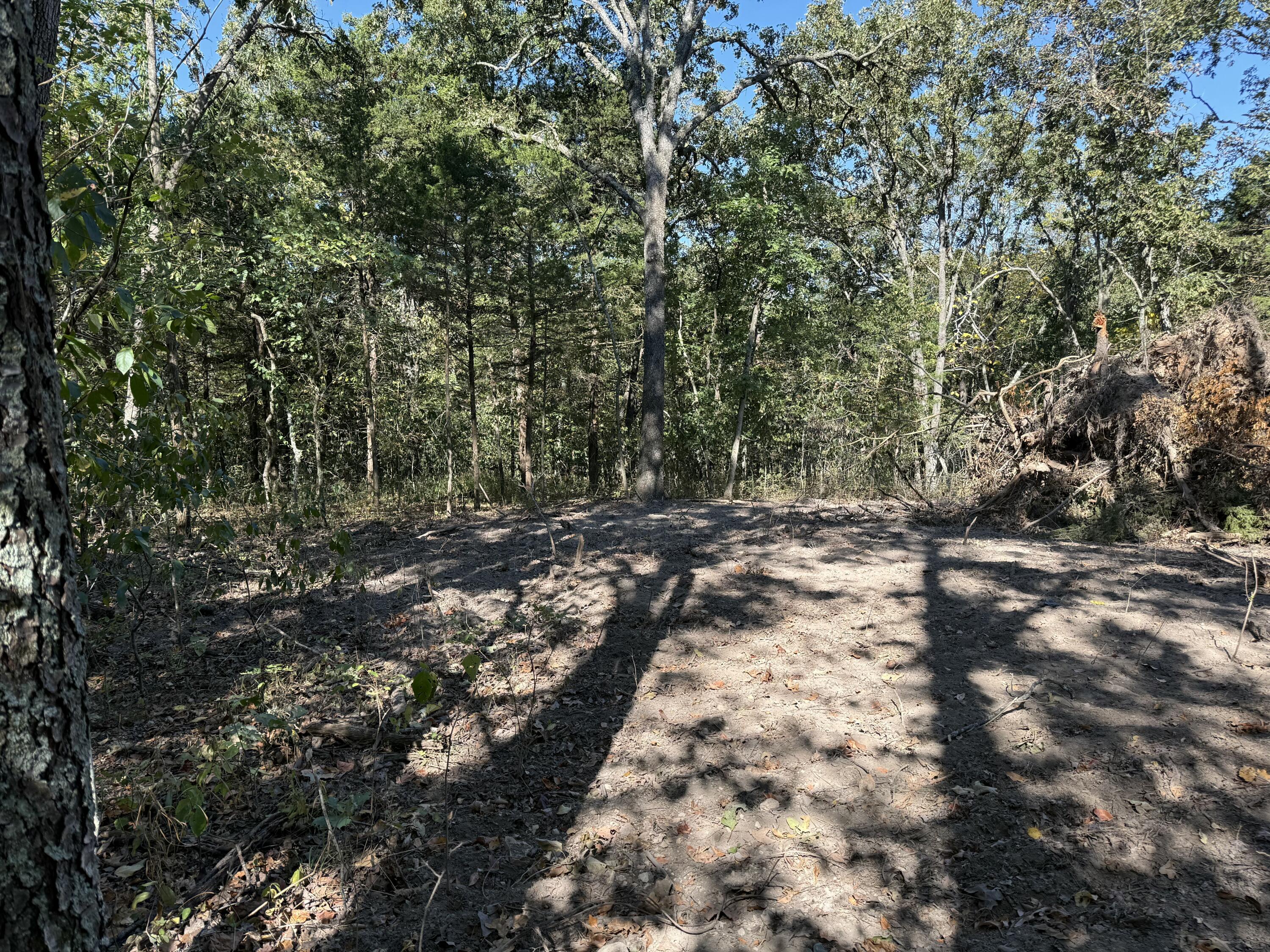 000 203 Property Photo 4
