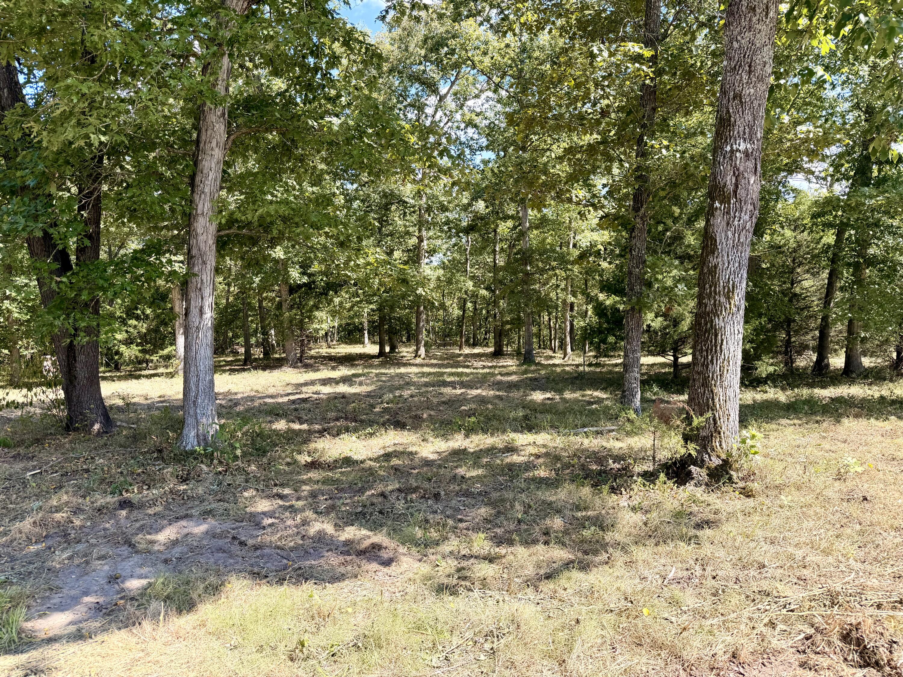 000 Ff Property Photo 5