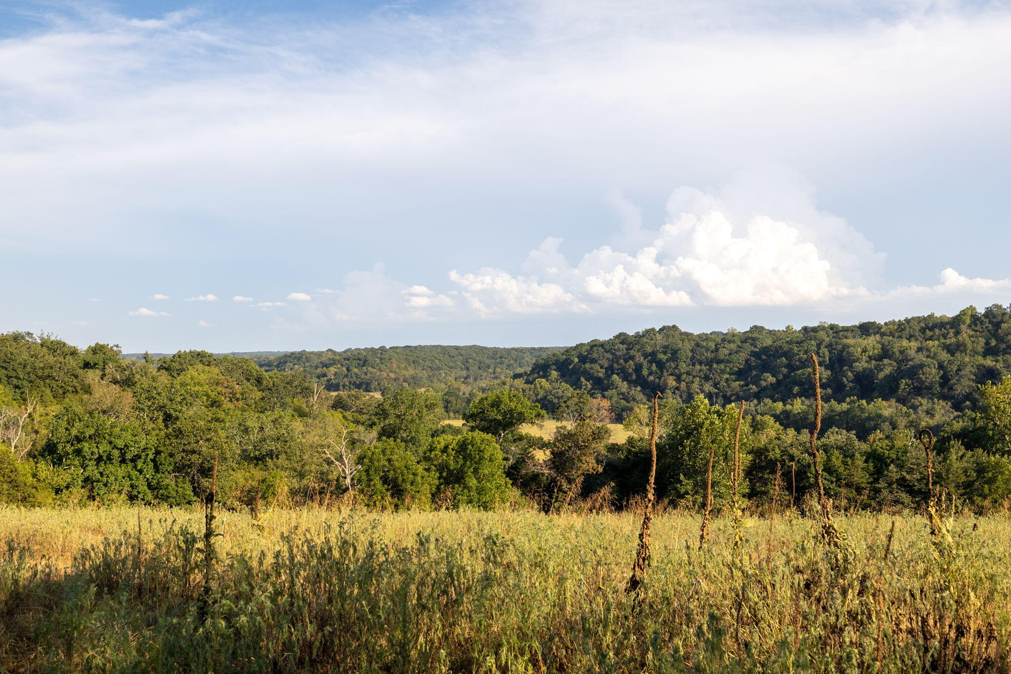0000 State Highway 90 Property Photo 30