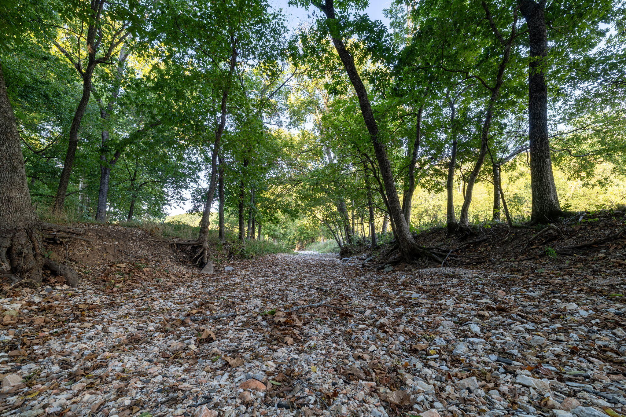 0000 State Highway 90 Property Photo 31