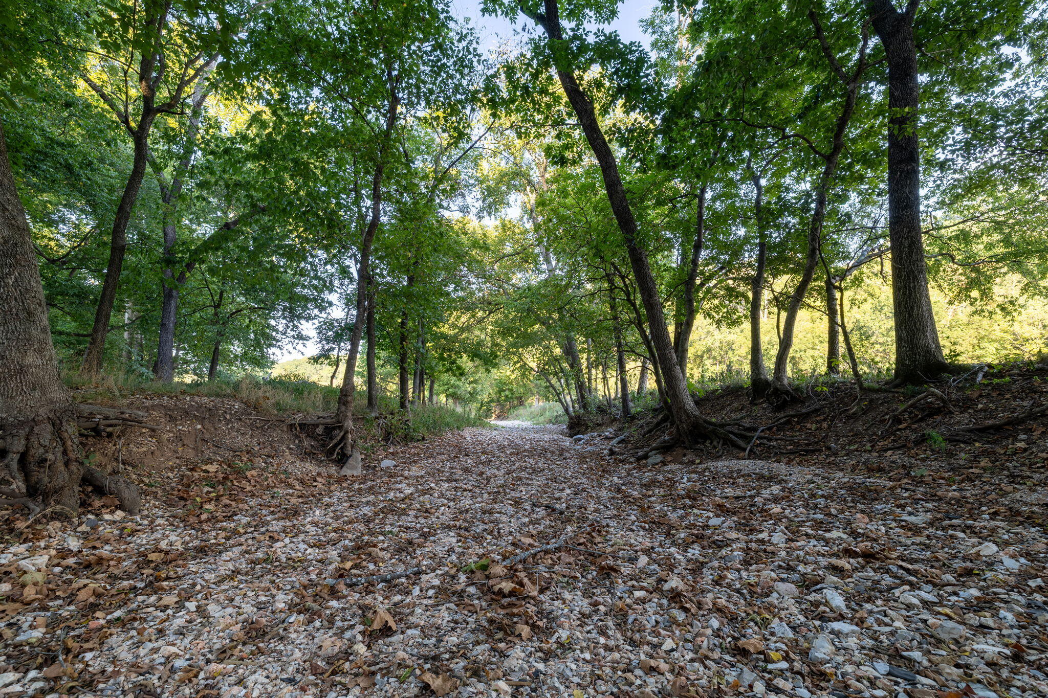 0000 State Highway 90 Property Photo 34