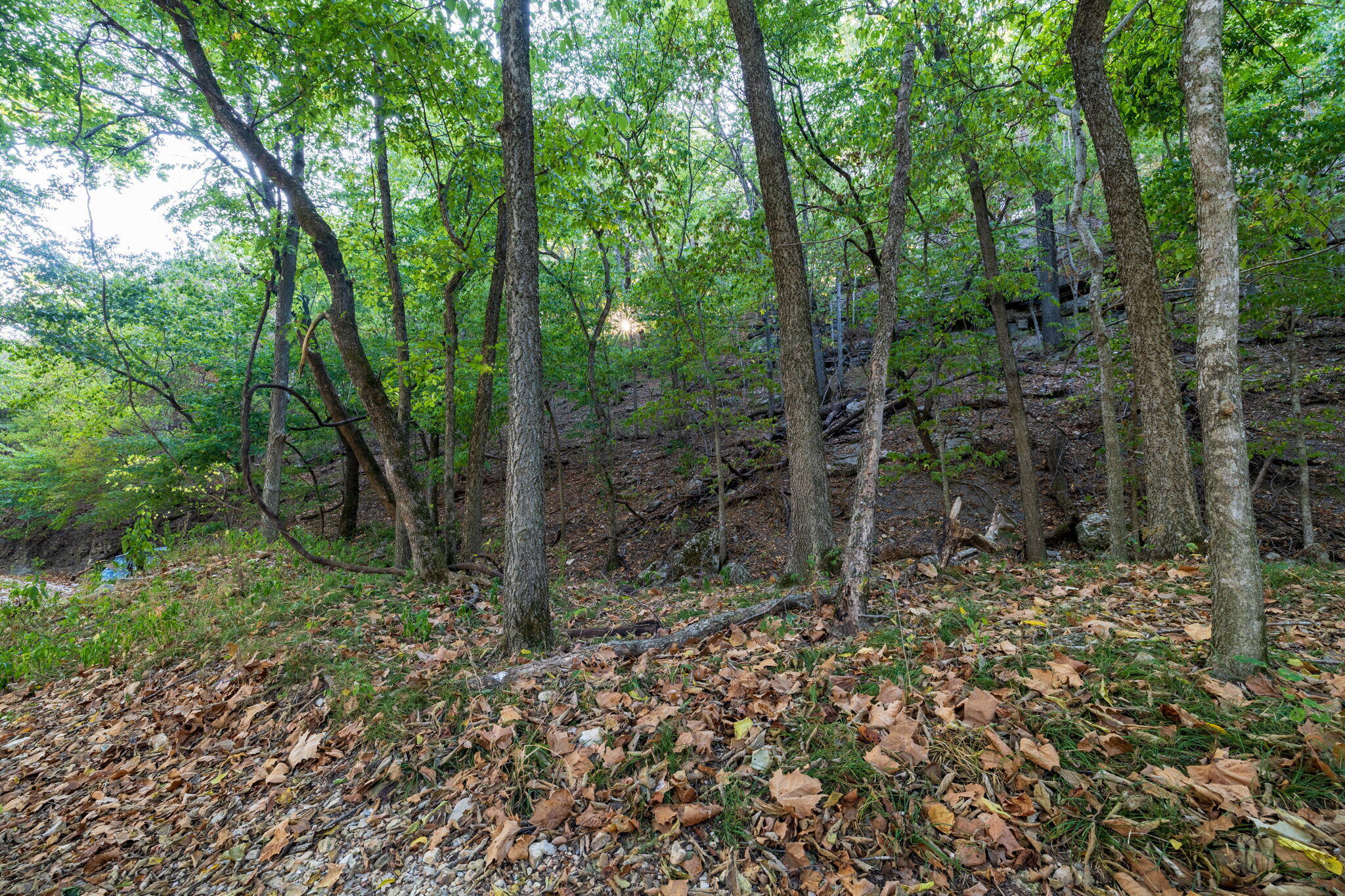 0000 State Highway 90 Property Photo 35
