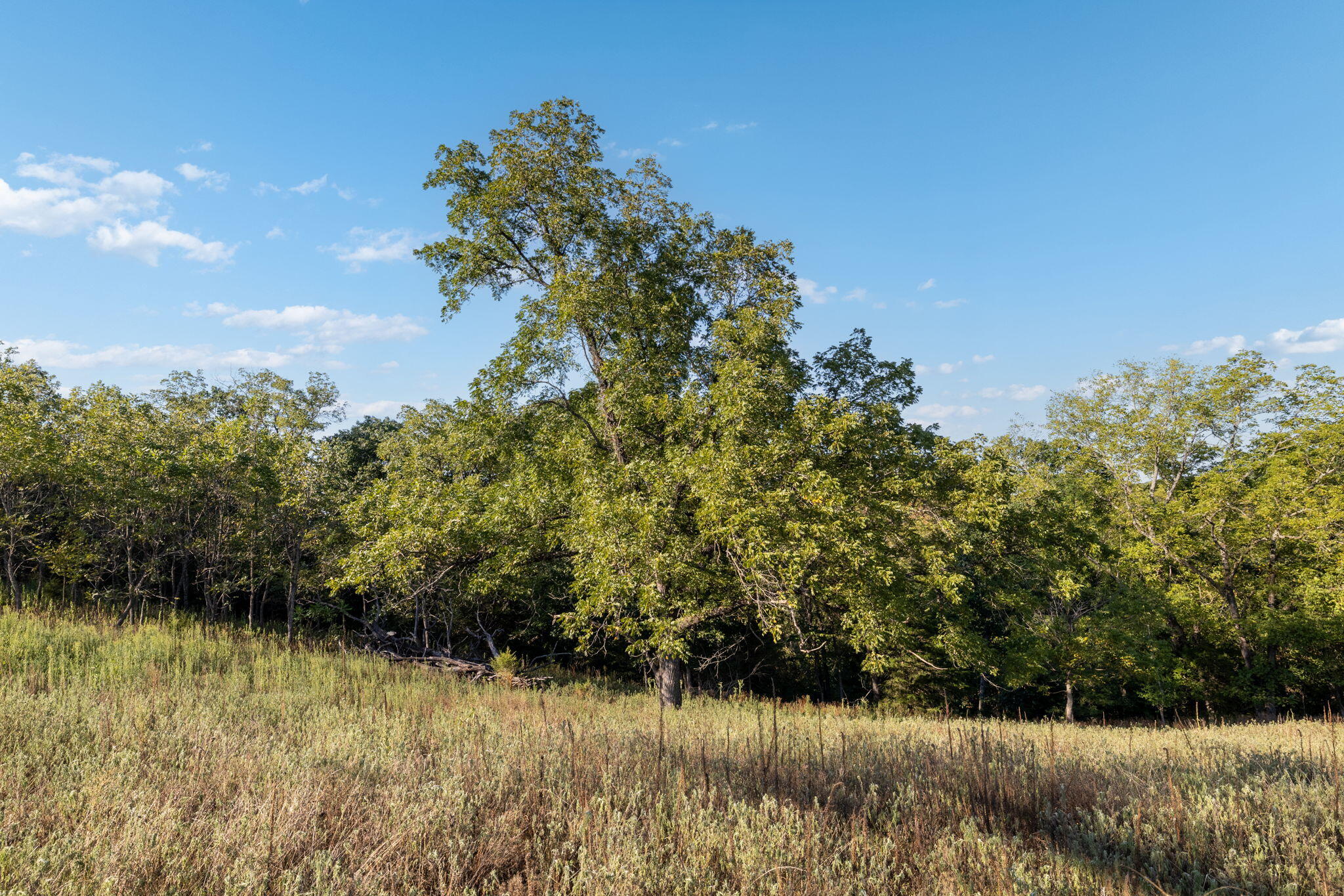 0000 State Highway 90 Property Photo 36
