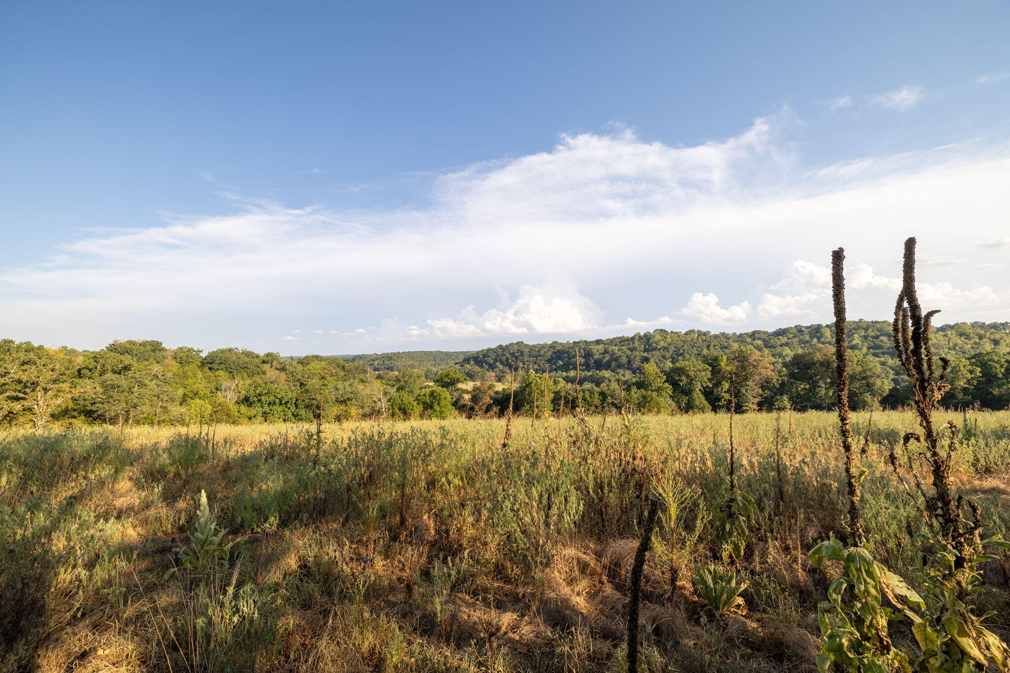 0000 State Highway 90 Property Photo 37